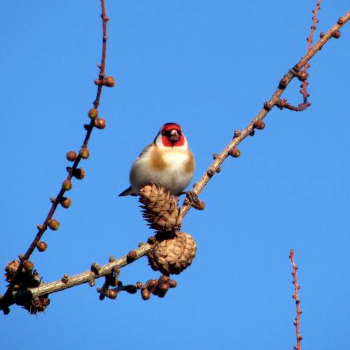 Photo #7585721
