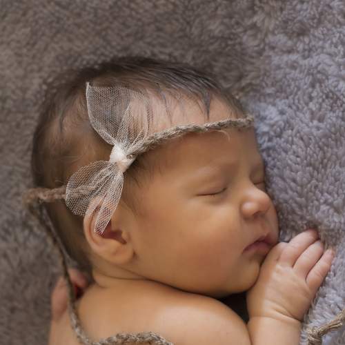 Photo #7586027