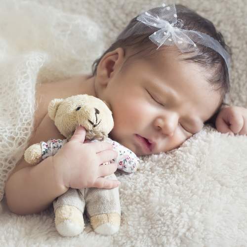 Photo #7586029