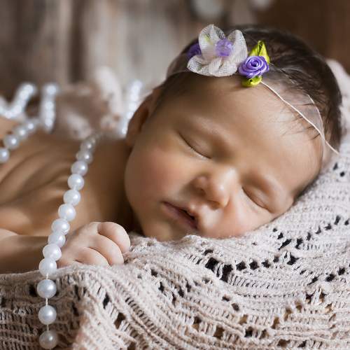 Photo #7586030