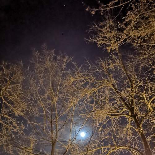 Photo #7586041