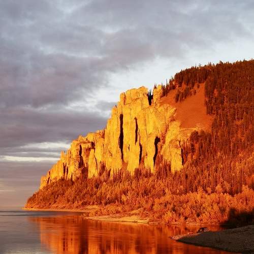 Photo #7586051
