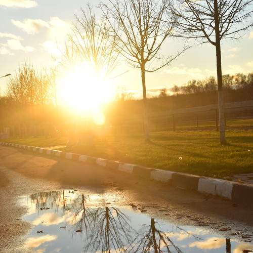 Photo #7586107