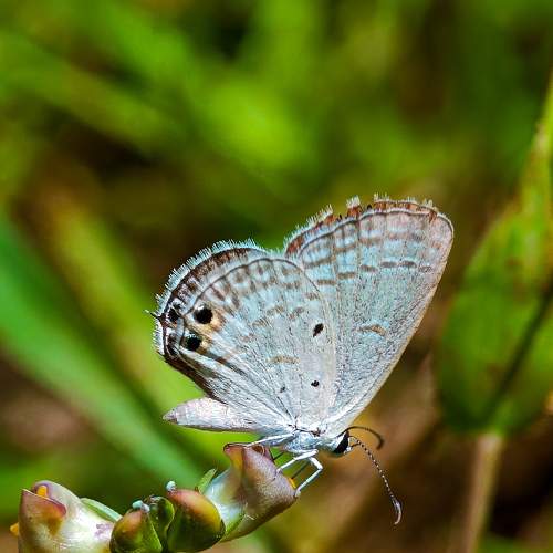 Photo #7586253