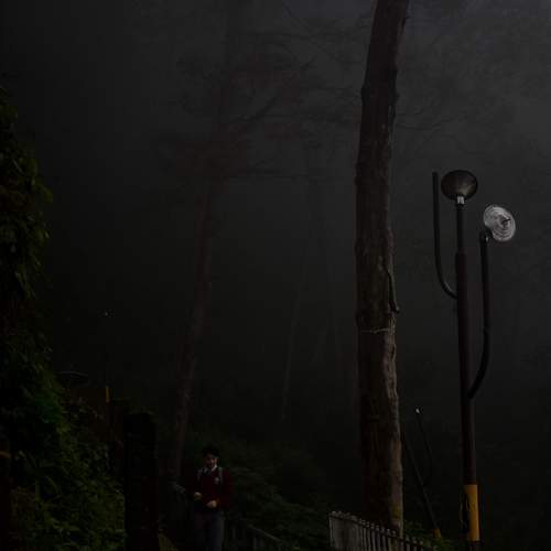 Photo #7586521