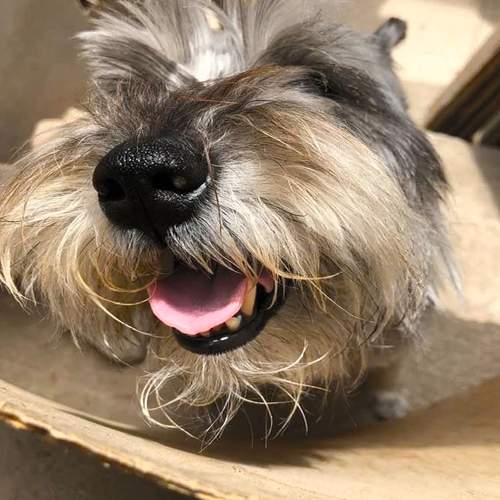 Photo #7587320