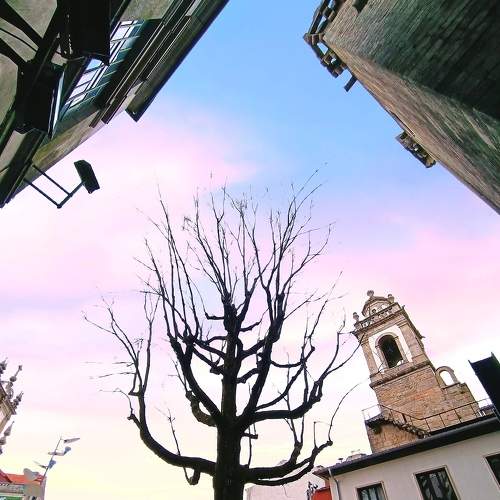 Photo #7587340