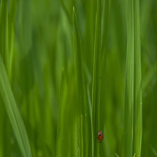 Photo #7587548