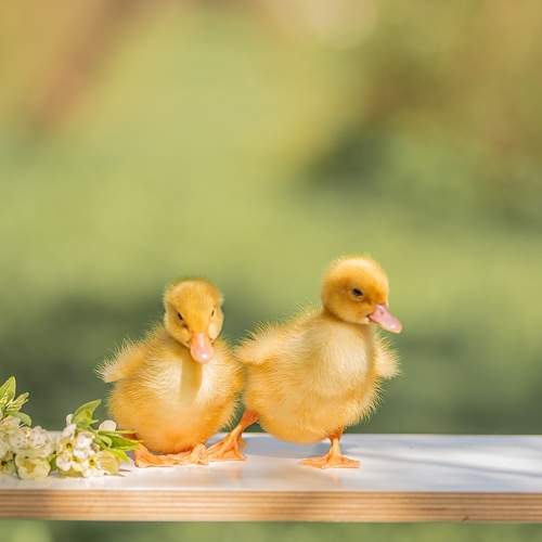 Photo #7587804