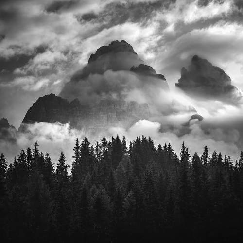Photo #7588154
