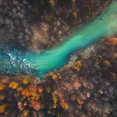 Photo #7588167