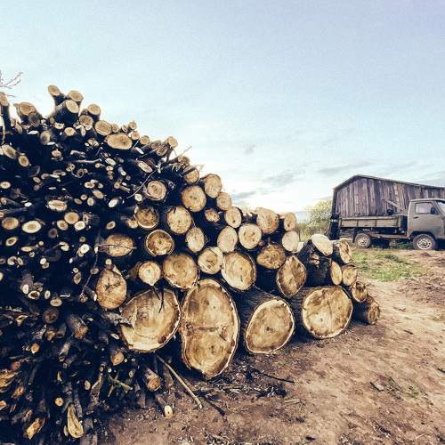 Photo #7588809