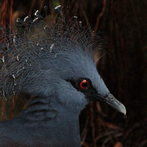 Photo #7588887