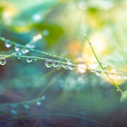 Photo #7589152