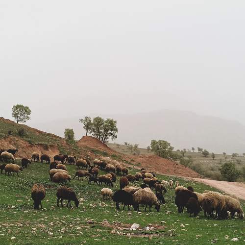 Photo #7590434