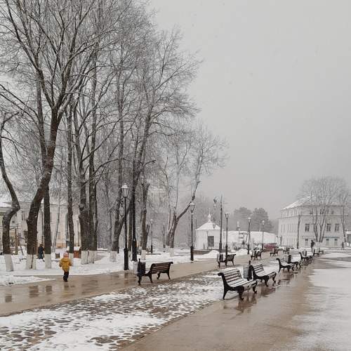 Photo #7590634