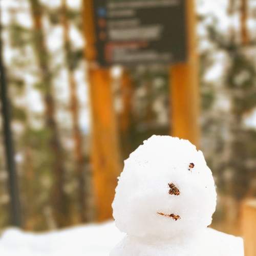 Photo #7591054