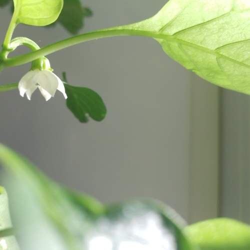Photo #7591536