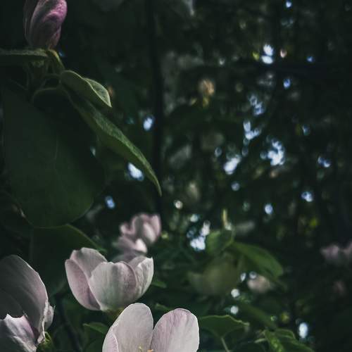 Photo #7591594