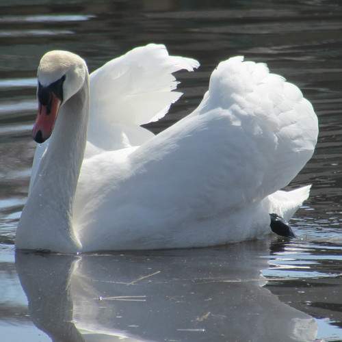 Photo #7591683