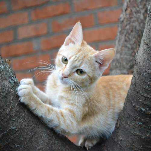 Photo #7591745