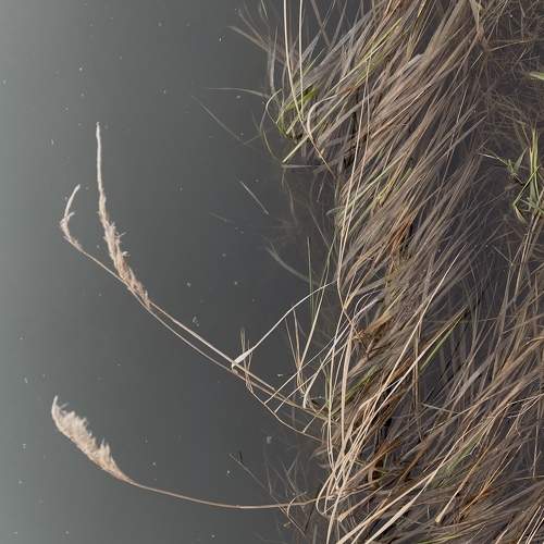 Photo #7591782