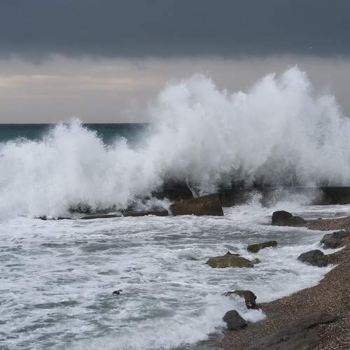 Photo #7591898