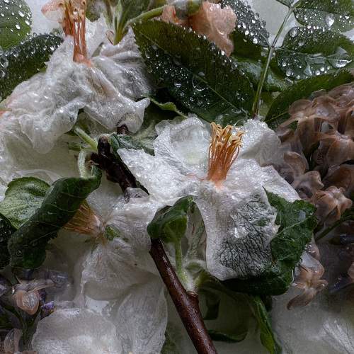 Photo #7592005