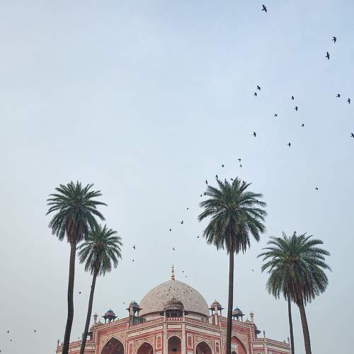 Photo #7592280