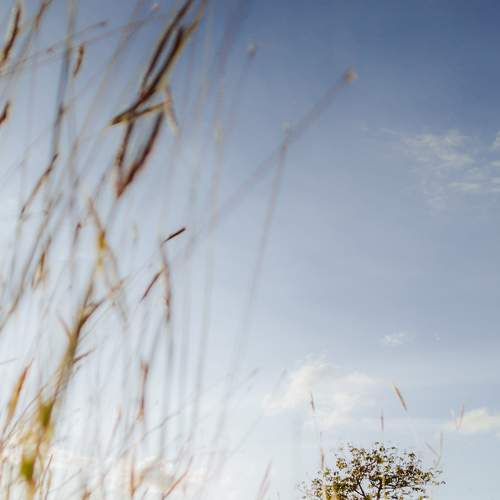 Photo #7592356