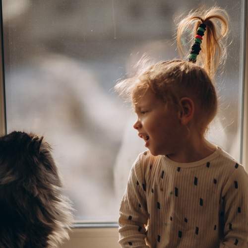 Photo #7592446