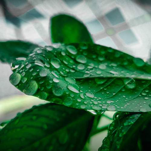 Photo #7592628