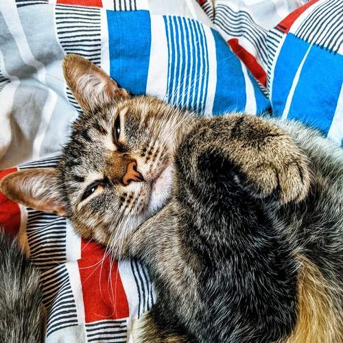 Photo #7592847