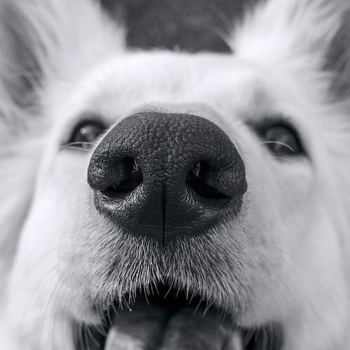 Photo #7592849