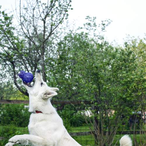 Photo #7592856