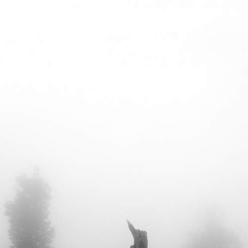 Photo #7592905