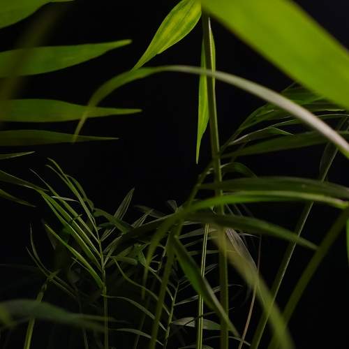 Photo #7592949