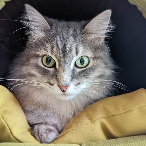 Photo #7593630