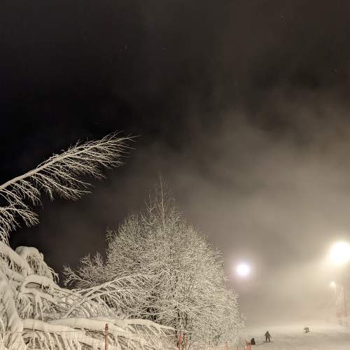 Photo #7593634