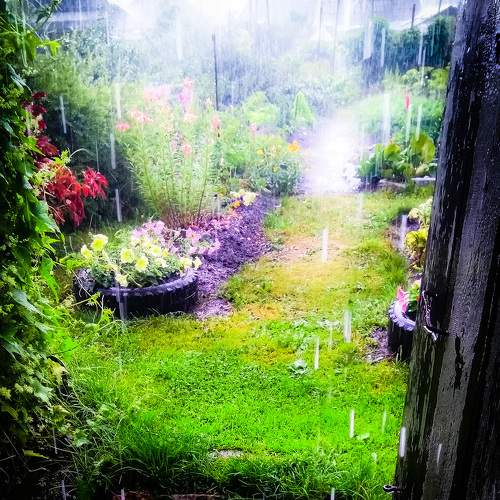 Photo #7593687
