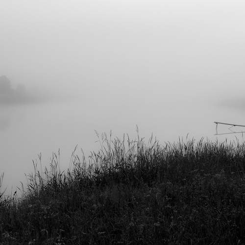 Photo #7593693