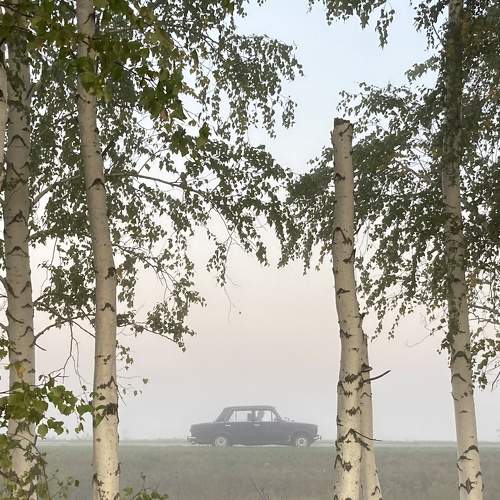 Photo #7594042