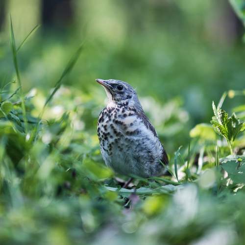 Фотография #7594175