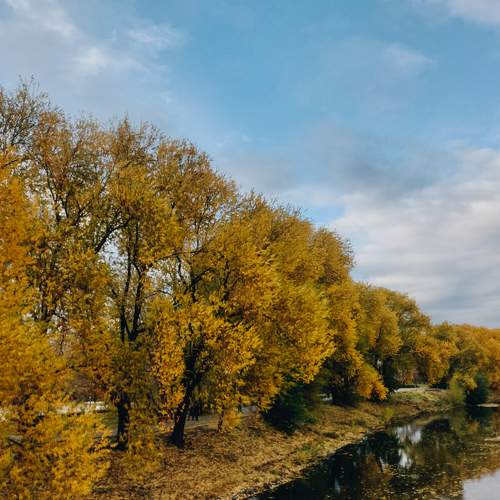 Photo #7594286