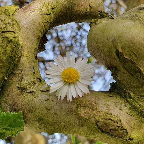 Photo #7594380