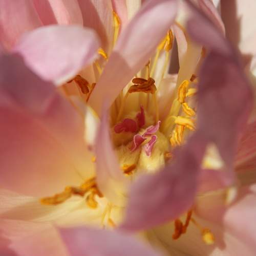 Photo #7594634
