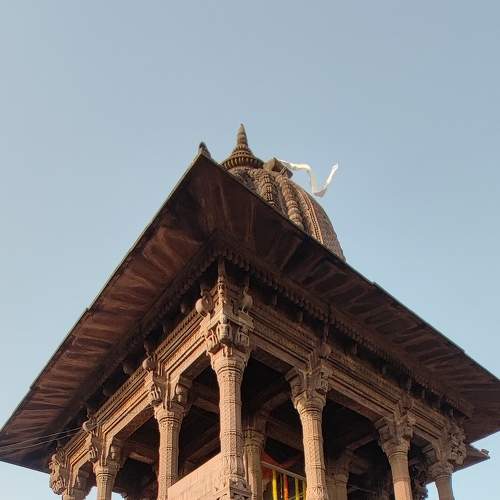 Photo #7594742