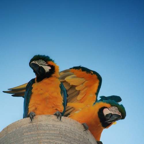Photo #7594813