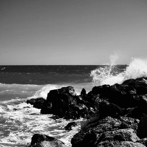 Photo #7594859