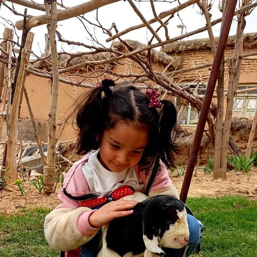 Photo #7595142